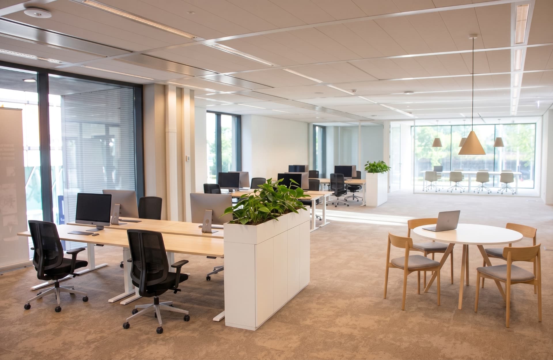 Studio workspace with desks, planting and a shared table